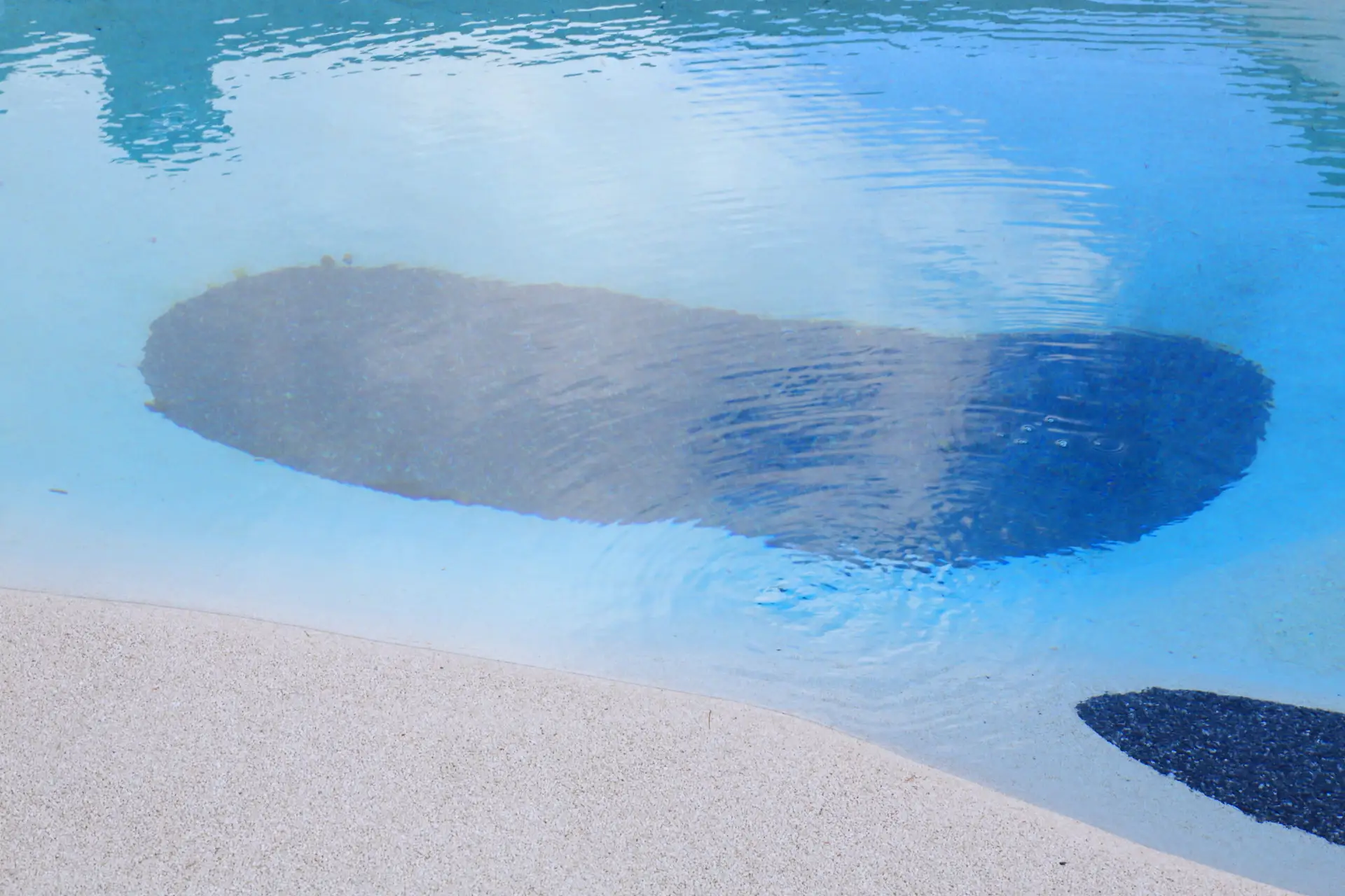 Pooldetail mit tiefblauen und schwarzen Natursteinflächen