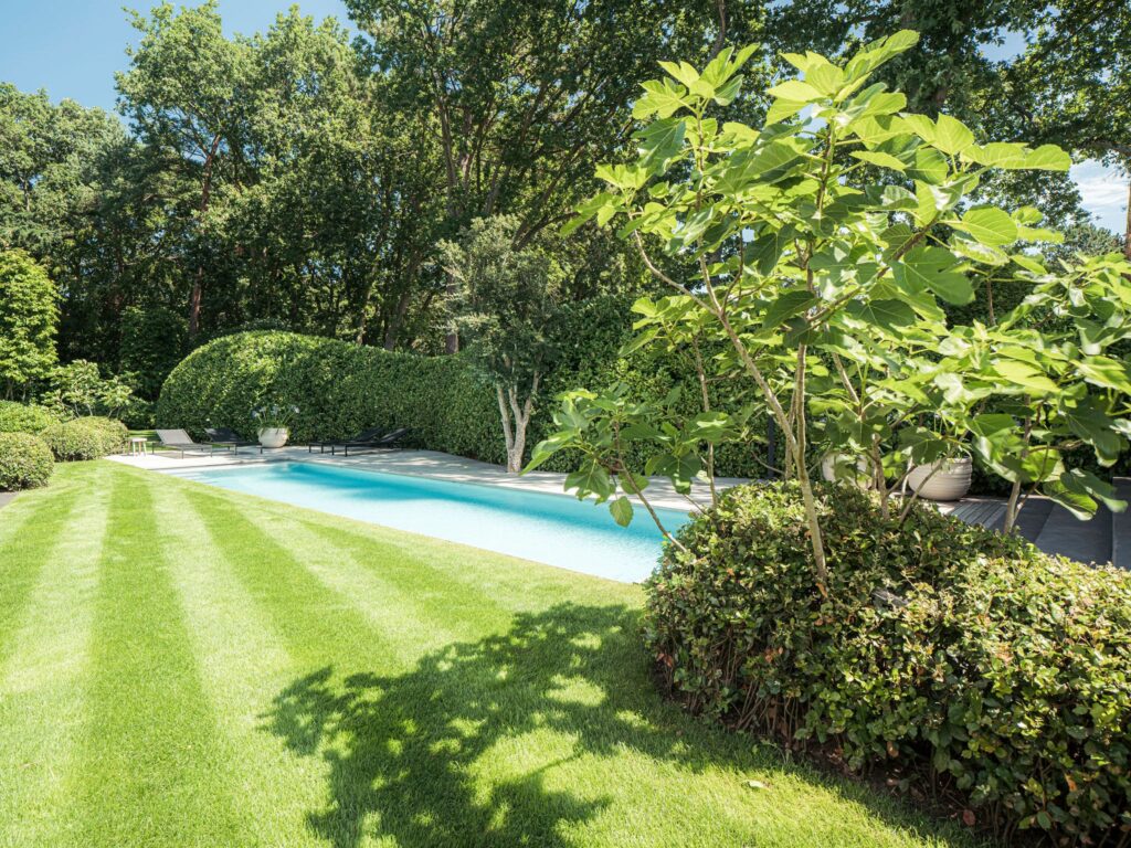 Geradliniger Pool im Grünen mit Waldrandkulisse