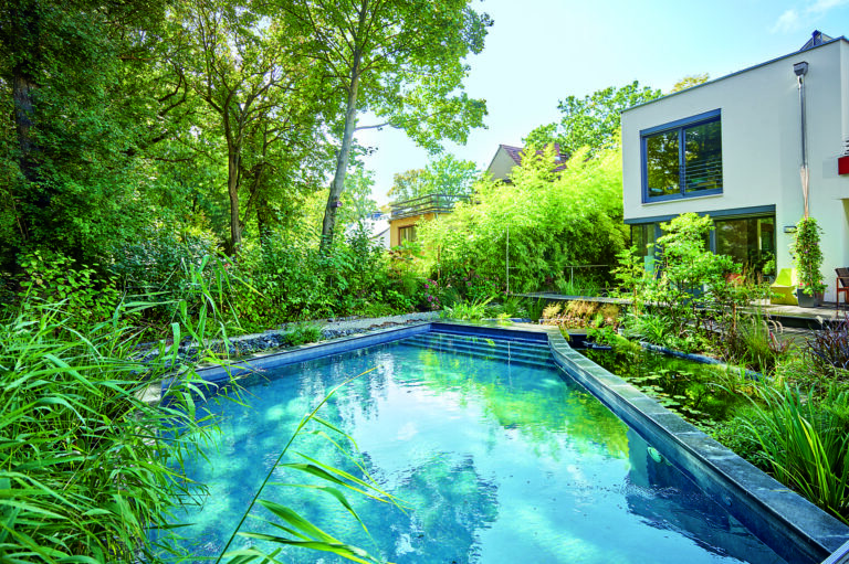 Pool im Garten mit Bambus und moderner Terrasse