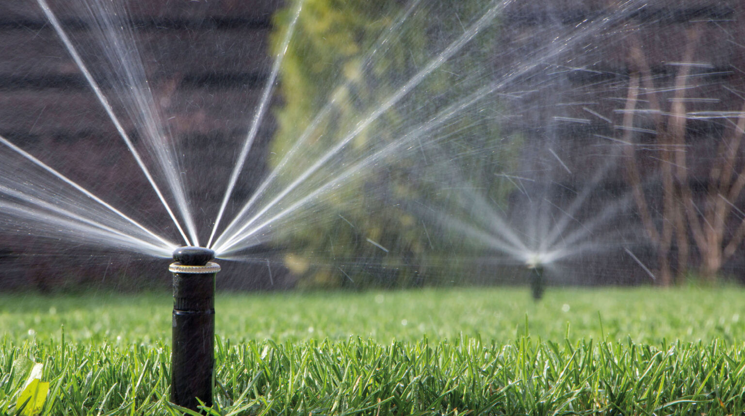 Automatische Mehrfachsprinkler im Garten